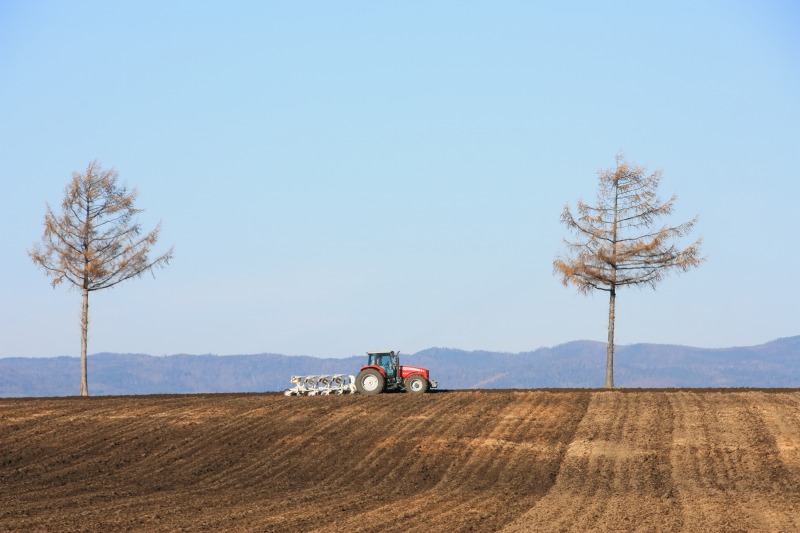 ファイル 421-2.jpg