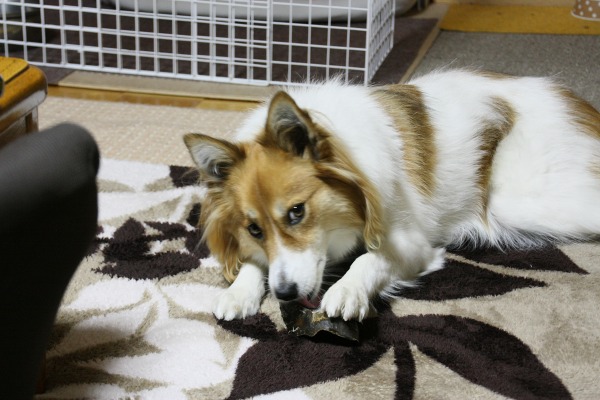 ファイル 421-3.jpg