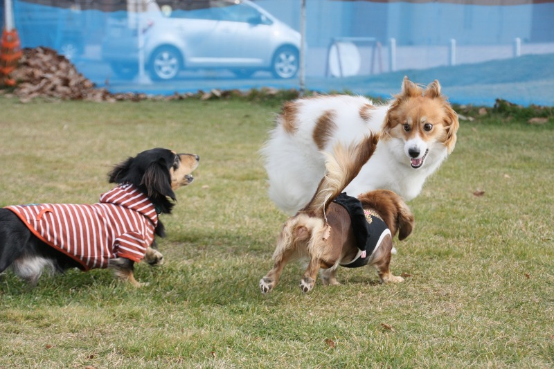 ファイル 422-1.jpg