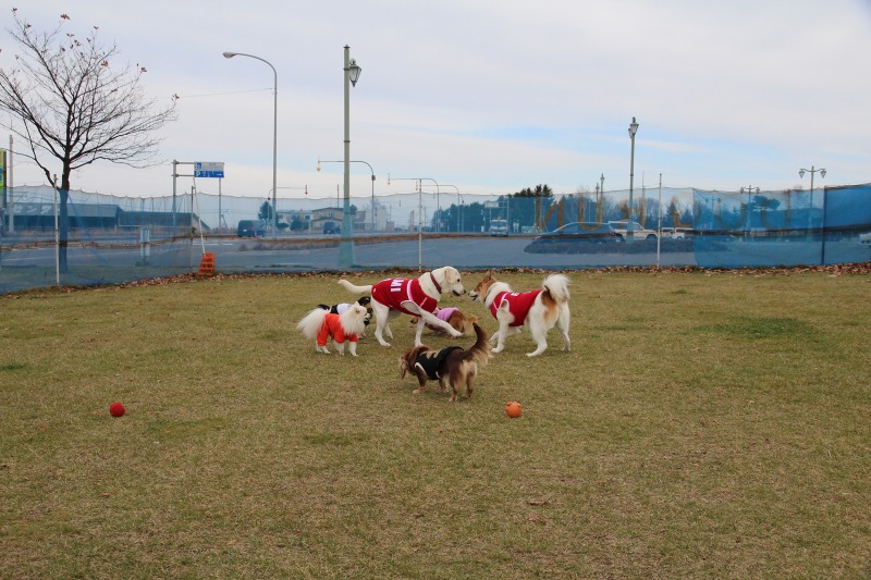 ファイル 422-3.jpg