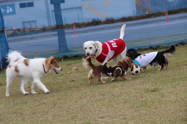 ファイル 423-2.jpg