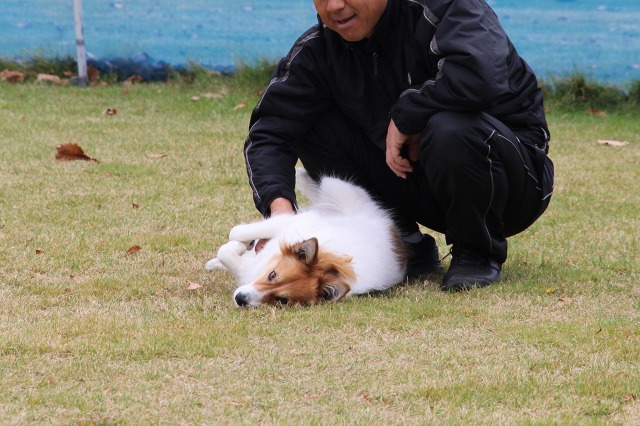 ファイル 423-3.jpg