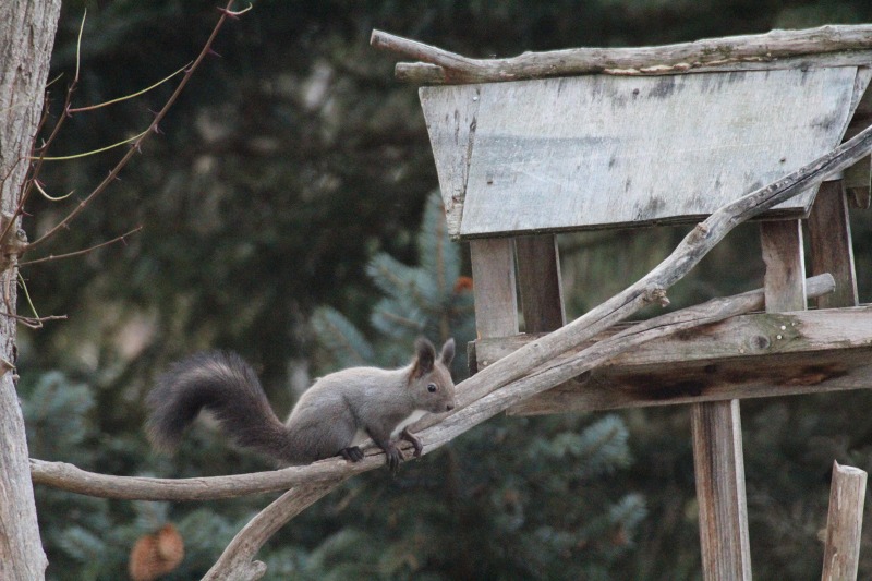 ファイル 424-3.jpg