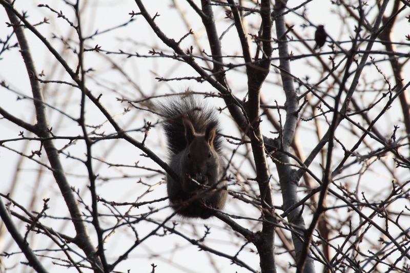 ファイル 424-5.jpg