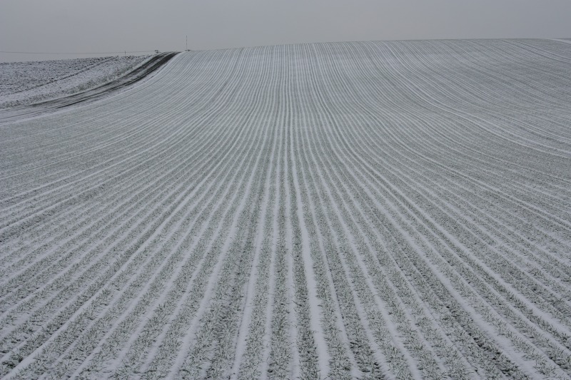 ファイル 429-1.jpg