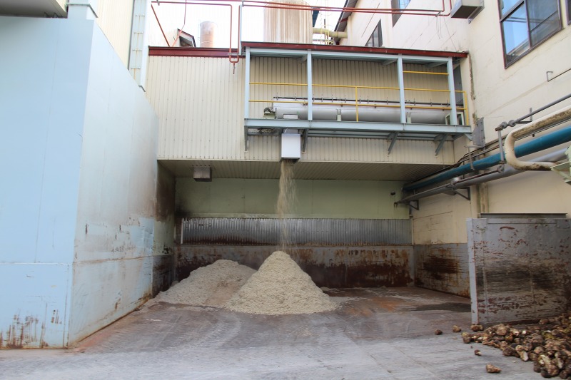 ファイル 431-1.jpg