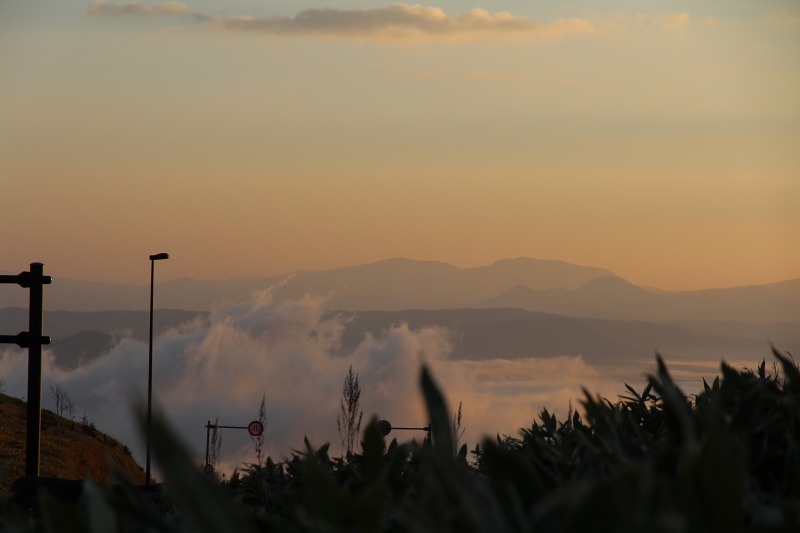 ファイル 433-1.jpg