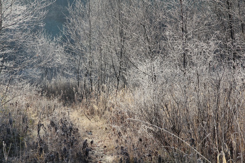 ファイル 434-1.jpg