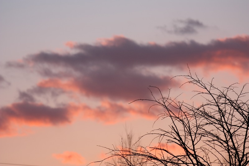 ファイル 435-5.jpg