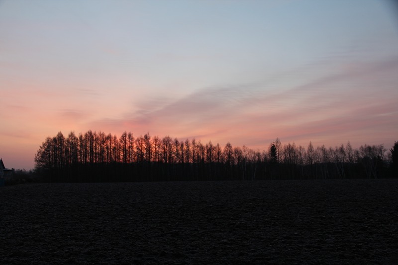 ファイル 437-1.jpg