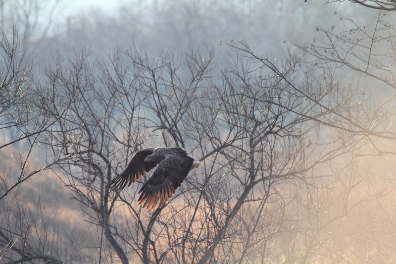 ファイル 440-2.jpg