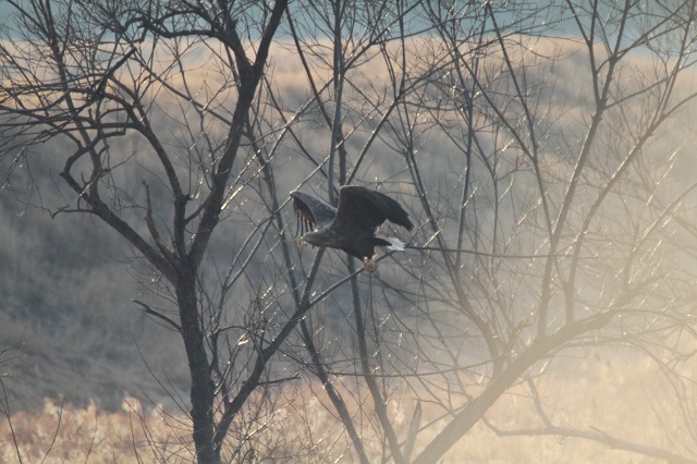 ファイル 440-3.jpg