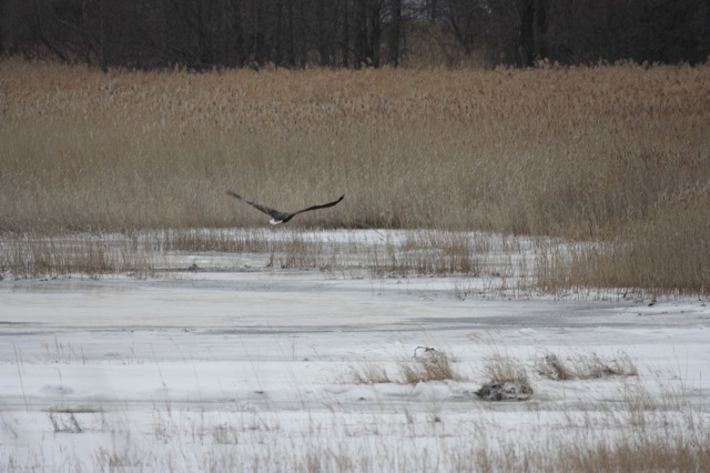 ファイル 441-5.jpg