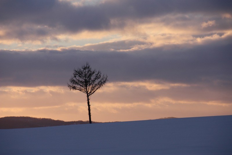 ファイル 10-5.jpg