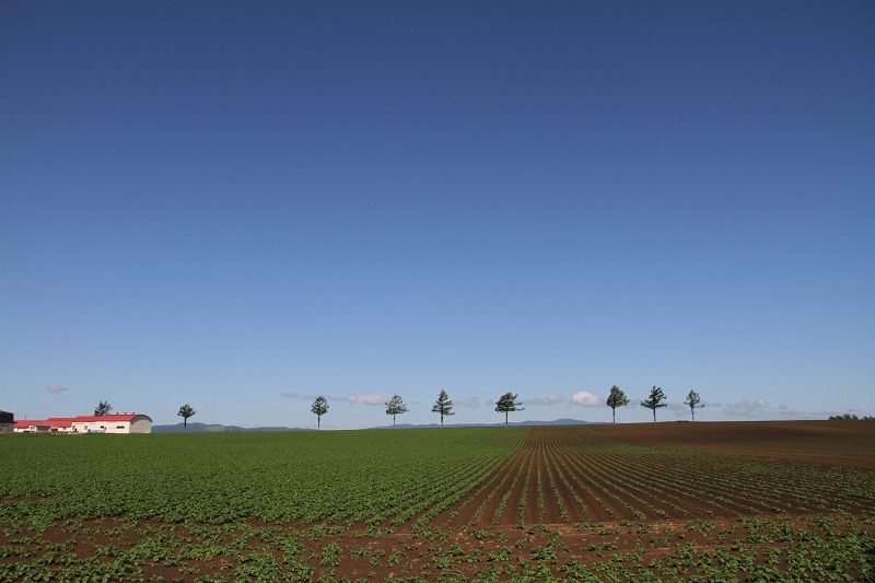 ファイル 102-1.jpg