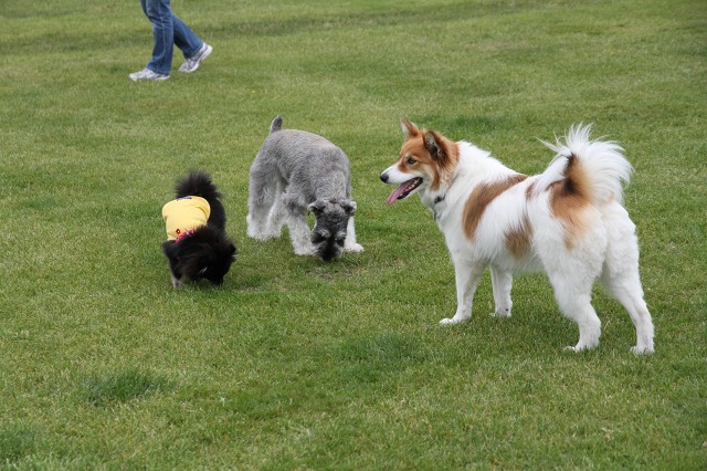 ファイル 103-3.jpg