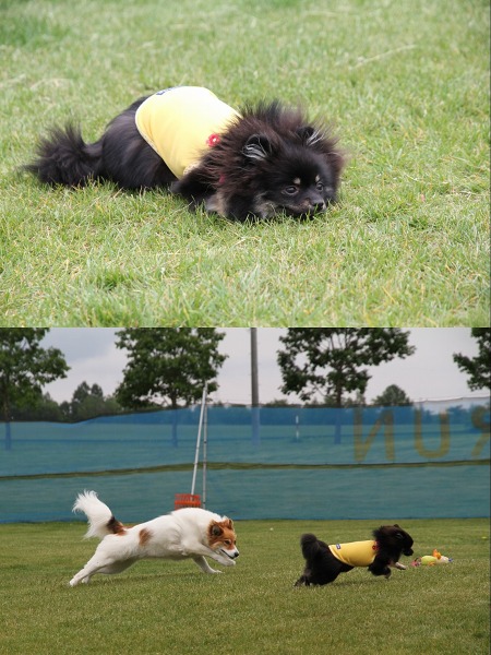 ファイル 103-5.jpg