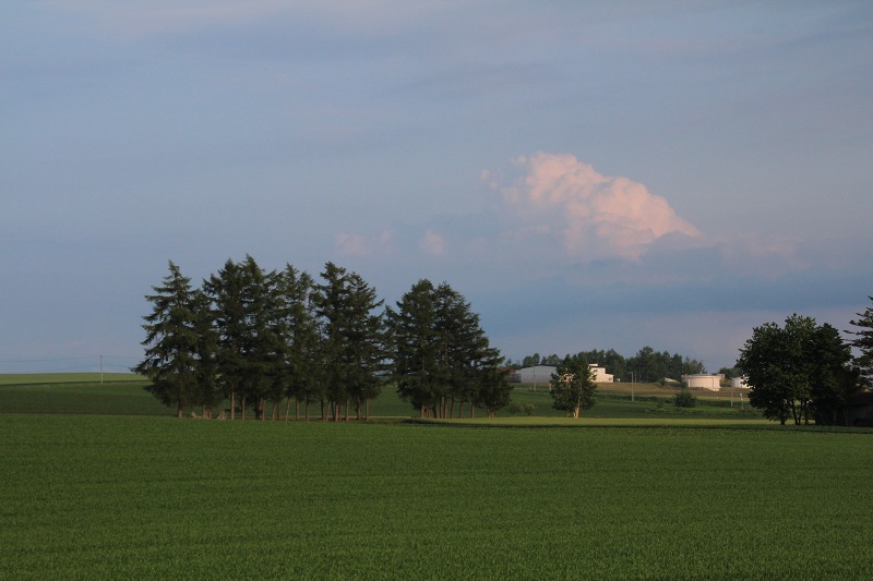 ファイル 104-2.jpg