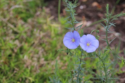 ファイル 105-1.jpg