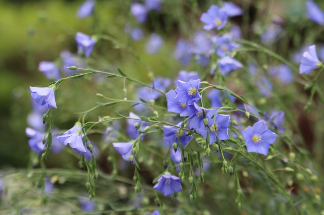 ファイル 106-3.jpg