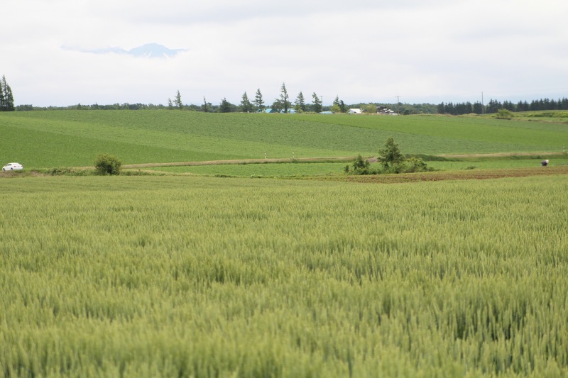 ファイル 107-2.jpg