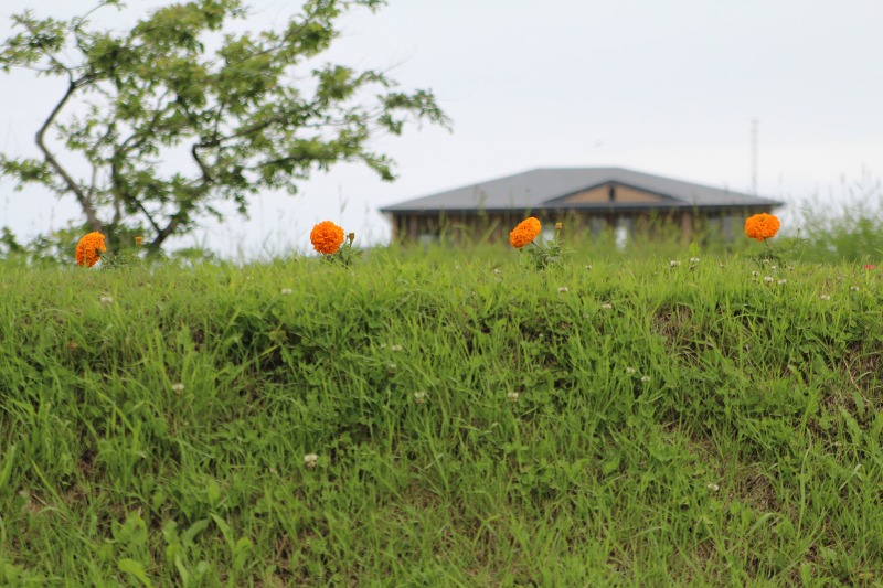 ファイル 107-5.jpg