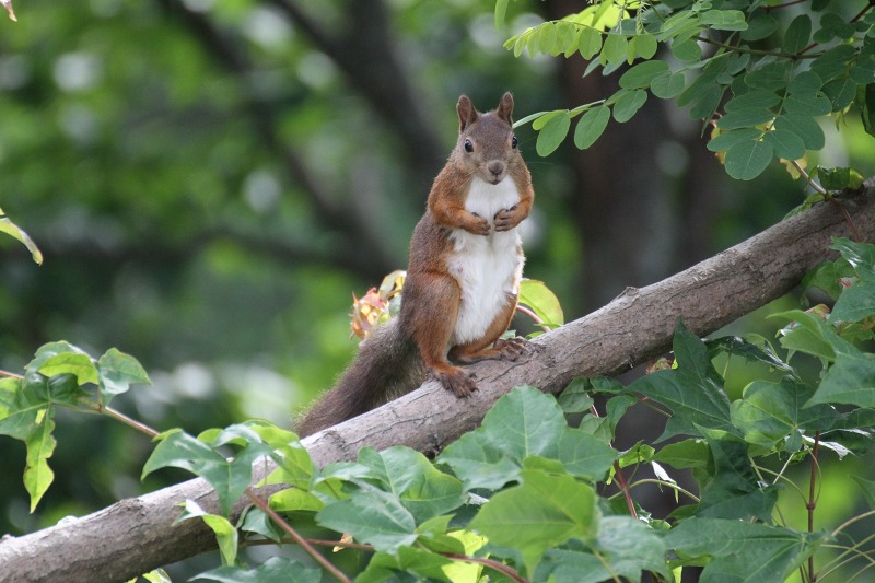 ファイル 109-1.jpg