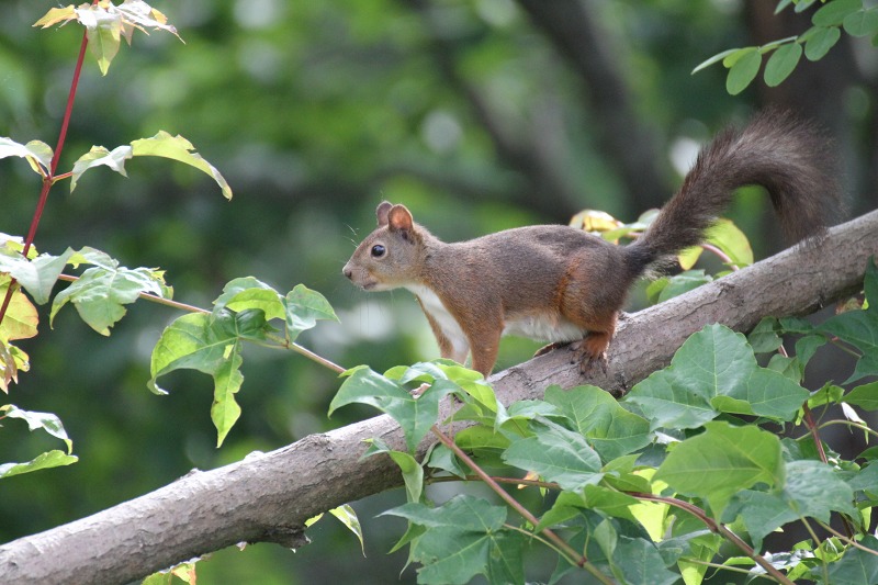 ファイル 109-2.jpg