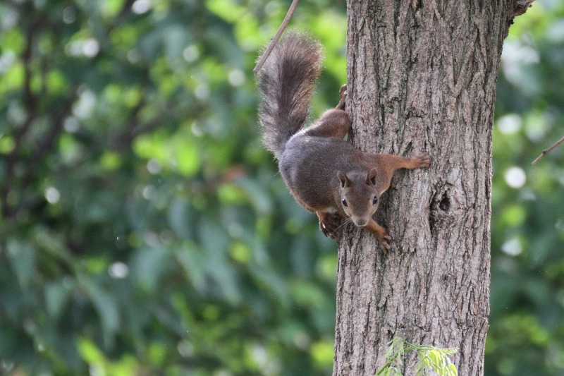 ファイル 109-3.jpg