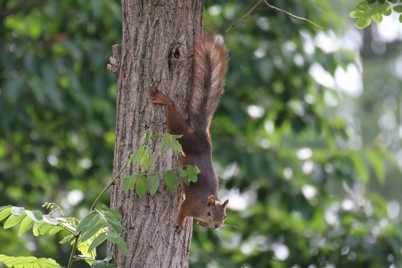 ファイル 109-4.jpg