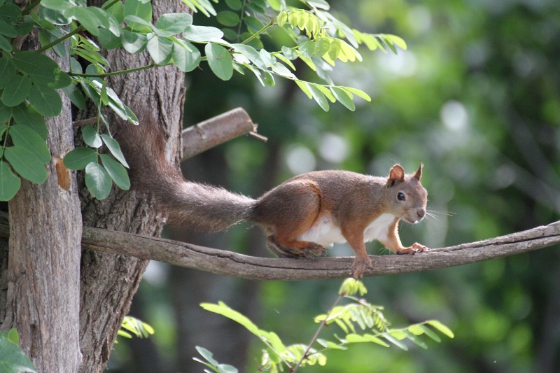 ファイル 109-5.jpg