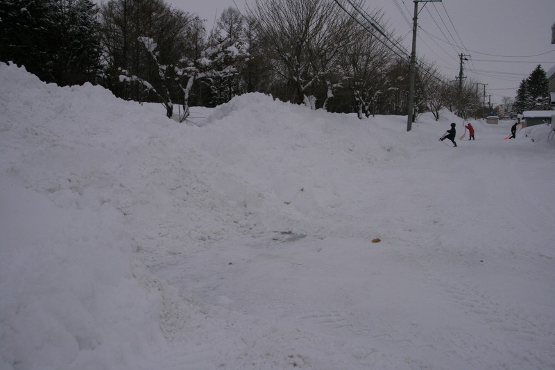 ファイル 11-1.jpg