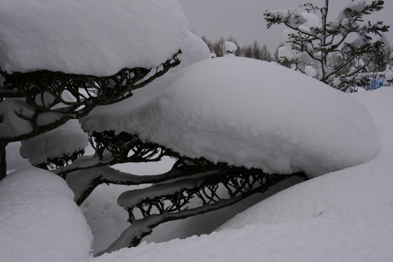 ファイル 11-3.jpg