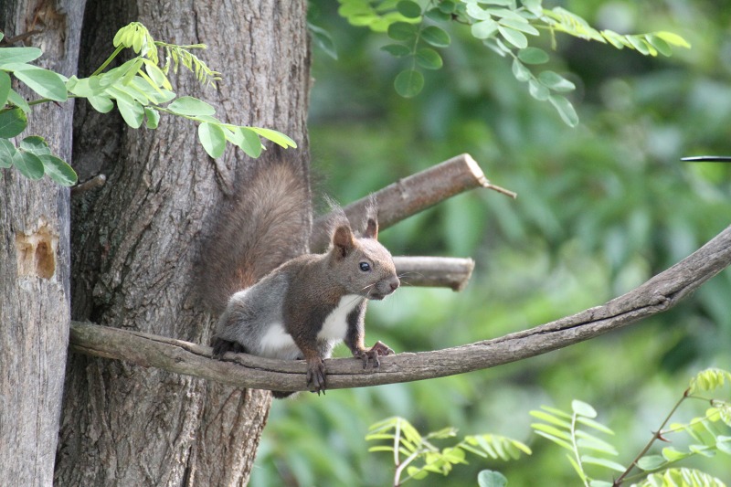 ファイル 111-1.jpg