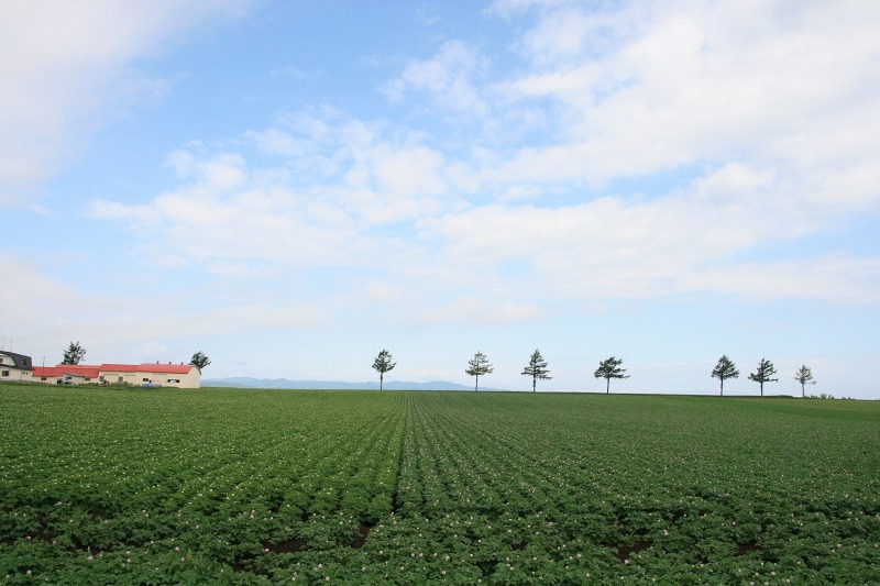 ファイル 112-1.jpg