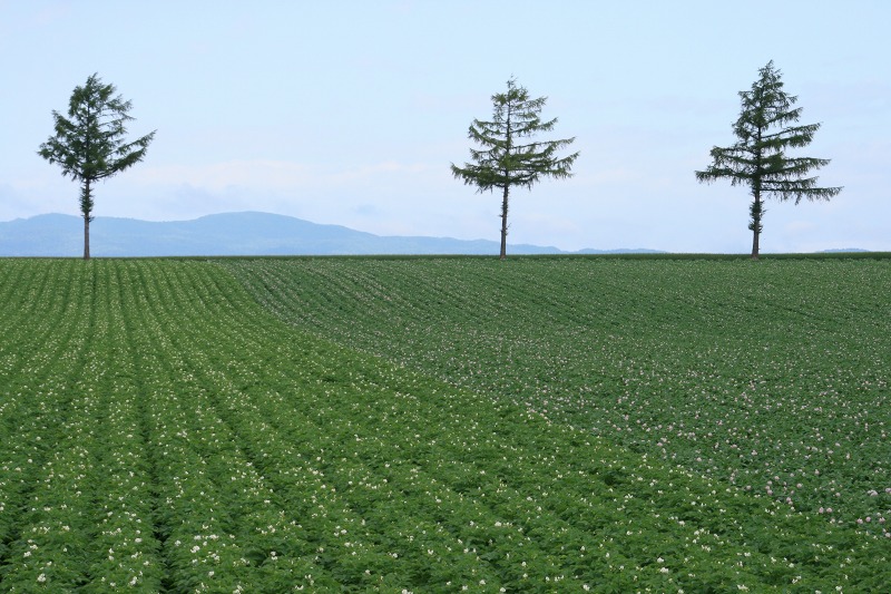 ファイル 112-2.jpg