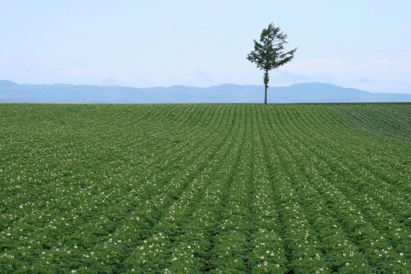 ファイル 112-3.jpg