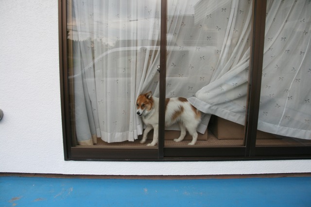 ファイル 112-4.jpg