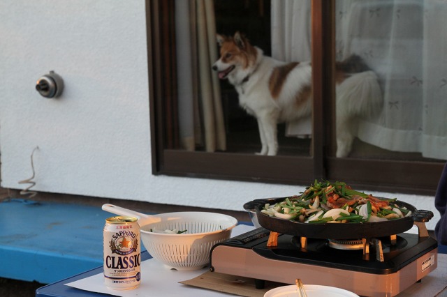 ファイル 114-1.jpg