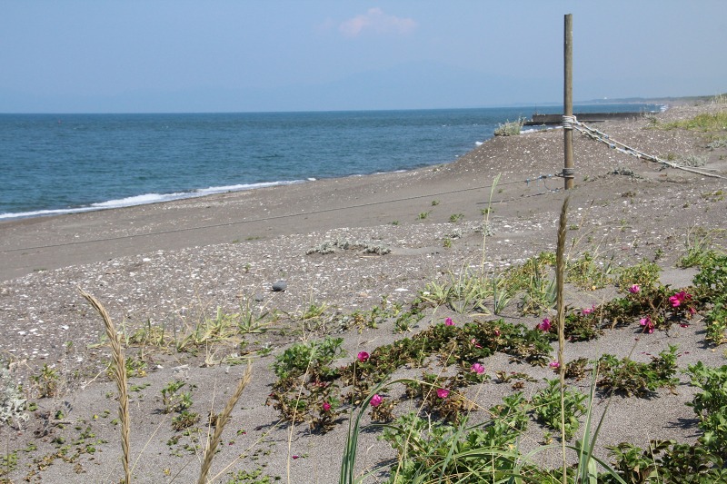 ファイル 118-5.jpg