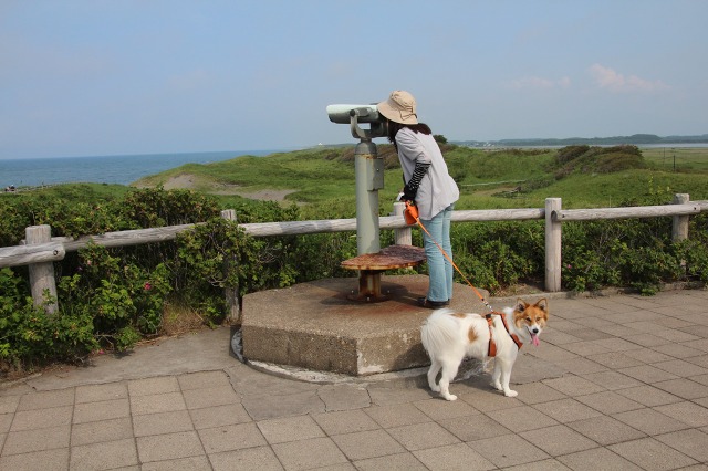 ファイル 119-1.jpg