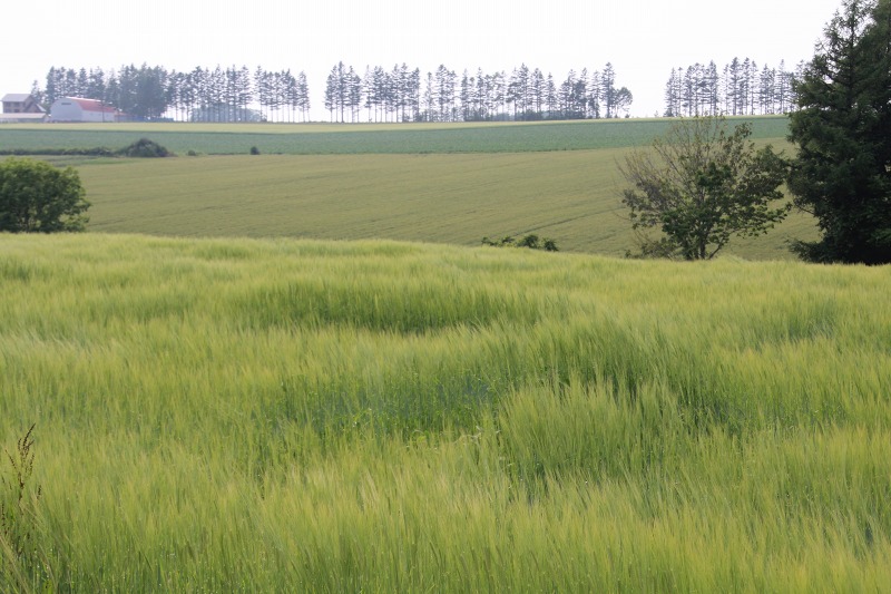 ファイル 119-3.jpg