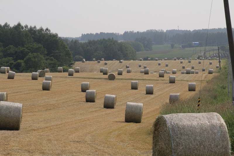 ファイル 119-5.jpg