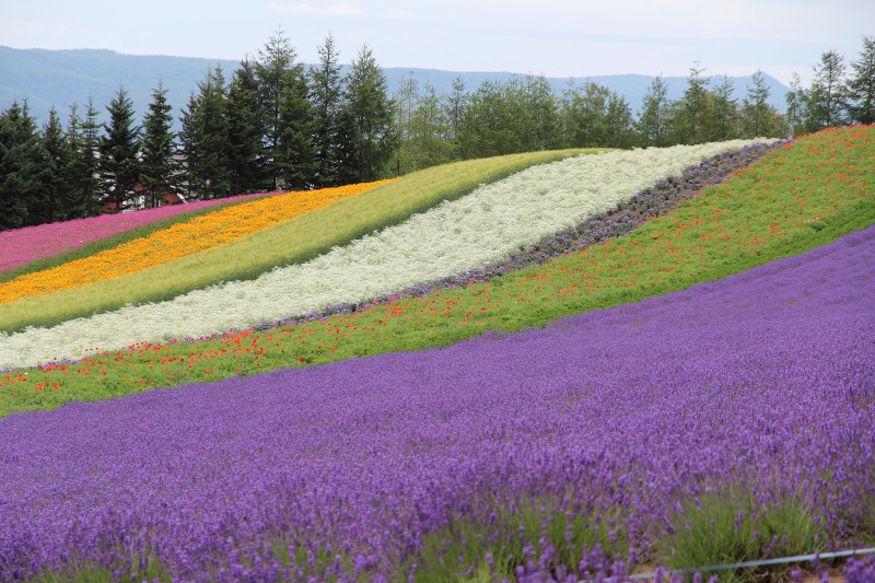 ファイル 121-4.jpg