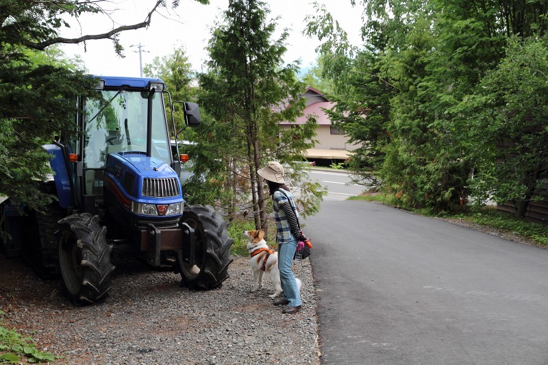 ファイル 122-2.jpg