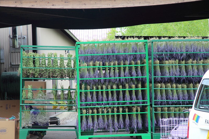 ファイル 122-3.jpg