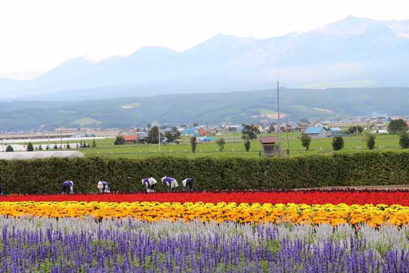 ファイル 122-5.jpg