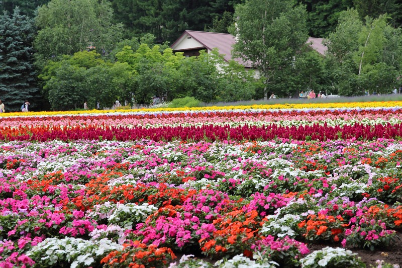 ファイル 123-3.jpg