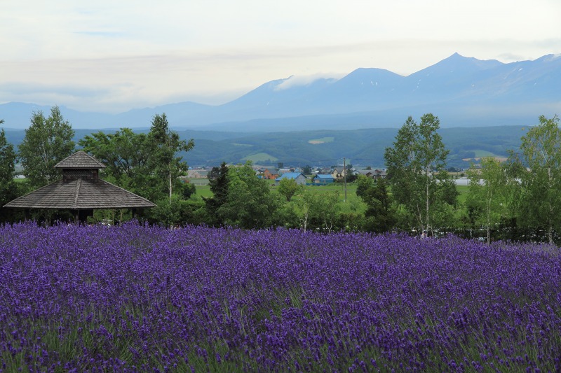 ファイル 123-4.jpg