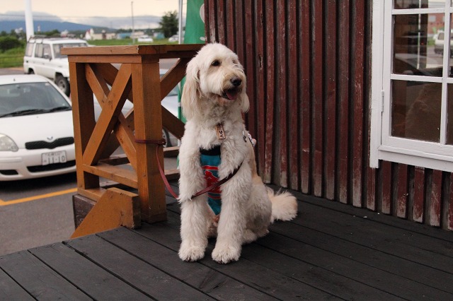 ファイル 126-1.jpg